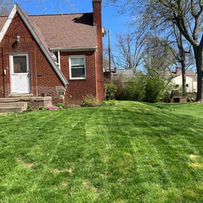 lawn care services by Mo Mowing & Yard Clean Up reviewed on August 23, 2023