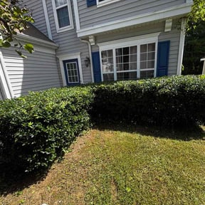 Bush Trimming by Diligence reviewed on June 8, 2023