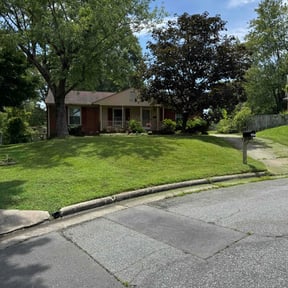 lawn maintenance by Terry Collins reviewed on July 9, 2022