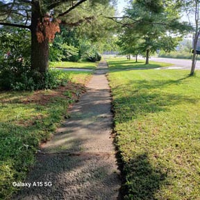 grass maintenance by Mower Men reviewed on August 17, 2025