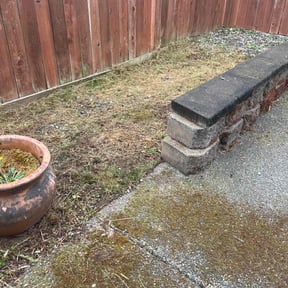 Flower Bed Weeding by A1 Landscape reviewed on November 9, 2025