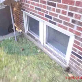 Leaf Removal by C and C Lawns reviewed on September 25, 2025