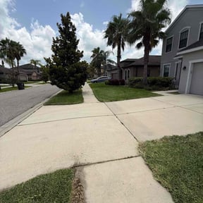 lawn maintenance by lemusbrothersllc@gmail.com reviewed on July 3, 2020