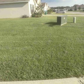 gardening service by J's Lawn and Landscaping reviewed on August 19, 2025