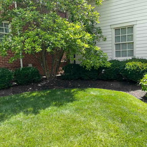 Flower Bed Weeding by Star Pool Services reviewed on June 23, 2026