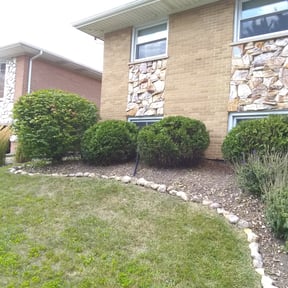 Bush Trimming by Good Guys Lawn and Fence reviewed on August 17, 2025