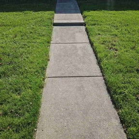 turf care by JT lawn care grass guys reviewed on May 23, 2025