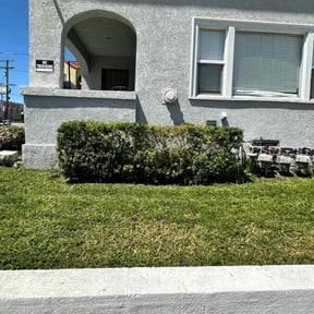 Bush Trimming by Fuse Outdoor Lighting and Landscape reviewed on March 28, 2022