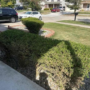 Bush Trimming by Nicholas Lawn services reviewed on October 18, 2025