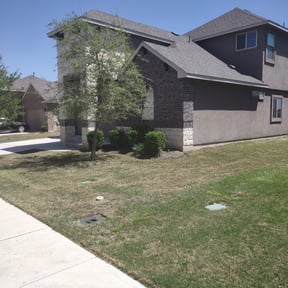 Leaf Removal by Pensacola Lawn & Garden reviewed on August 17, 2025