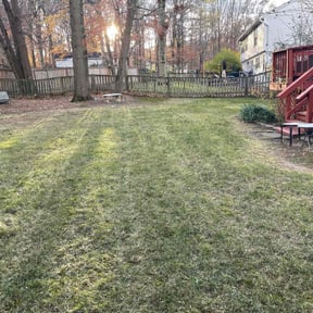 Leaf Removal by Mike&#039;s Mowing reviewed on September 26, 2025