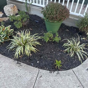 Flower Bed Weeding by AP Landscapers reviewed on October 21, 2025