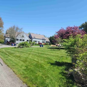 yard work by The Green Op reviewed on August 19, 2025