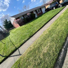 grass maintenance by Sky Lawns reviewed on August 17, 2025