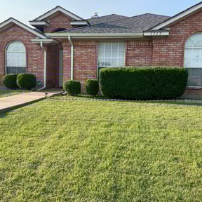 Bush Trimming by Morales lawn inc reviewed on September 7, 2023