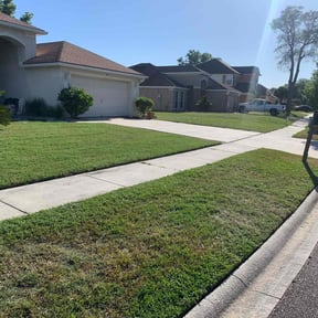 landscaping by Premier Lawn & Landscaping reviewed on August 19, 2025