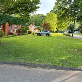 landscape maintenance by Nappyweeds Lawncare reviewed on November 22, 2025