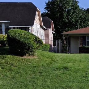 Bush Trimming by RK Lawncare reviewed on August 19, 2025