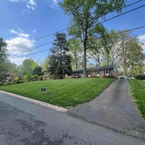 yard maintenance by Woods lawn care reviewed on August 21, 2025
