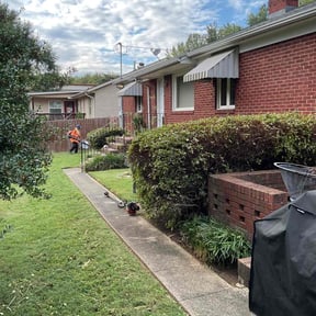 Bush Trimming by Yanez Brothers Landscaping reviewed on October 22, 2025