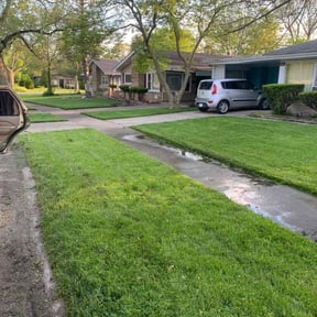 yard service by Moneycanhaulit reviewed on August 21, 2025