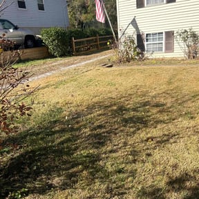 Leaf Removal by Nyasia&#039;s landscape reviewed on September 23, 2025