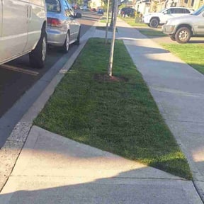 grass cutting by CUT Tulsa Lawn Co. reviewed on April 20, 2024