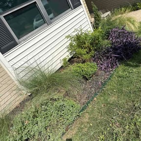 Flower Bed Weeding by Wemow reviewed on August 20, 2026