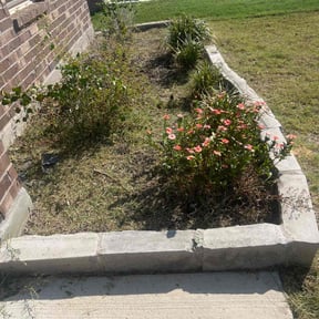 Flower Bed Weeding by AV Lawn Care reviewed on November 21, 2025