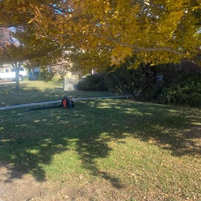 Leaf Removal by 20-20 Lawn Care reviewed on September 12, 2025