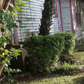 Bush Trimming by Curb Appeal Landscaping reviewed on August 20, 2025