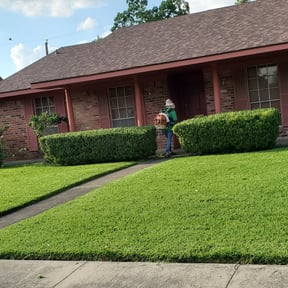 Bush Trimming by Trash Cupid Rental reviewed on August 15, 2025
