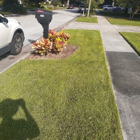 Bush Trimming by Warrens Handyman Services LLC reviewed on May 11, 2024