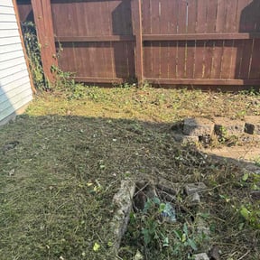 Flower Bed Weeding by Perfect Kutz reviewed on October 20, 2025