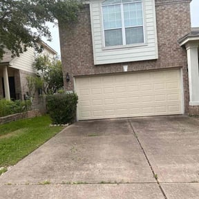 Bush Trimming by Pro Green Landscape L L C reviewed on August 16, 2025