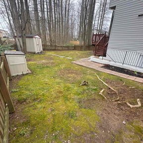 Leaf Removal by NEEL GENERAL CONTRACTING reviewed on September 21, 2025