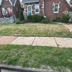 Bush Trimming by Yard Intel Pros reviewed on August 18, 2025