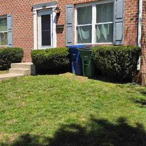 Bush Trimming by Brothers landscaping  reviewed on April 24, 2026