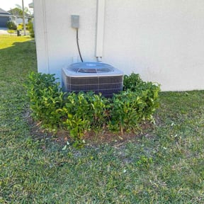 Bush Trimming by GC Lawn Care & Landscaping Services reviewed on August 20, 2025