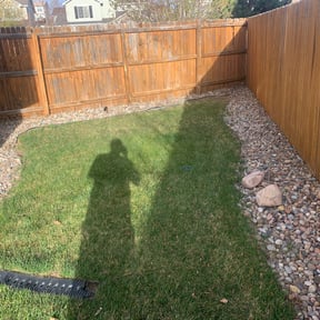 Leaf Removal by B and B Landscaping reviewed on August 21, 2025