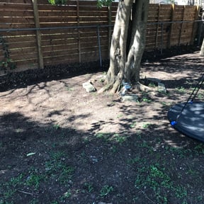 Leaf Removal by Leprechaun Lawn 318 reviewed on September 6, 2025