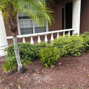 Cleanups by Eco Services reviewed on August 16, 2025