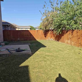 lawn service by Salvador Lawn and Tree Service reviewed on August 17, 2023