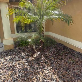 Bush Trimming by Bone yard management reviewed on April 1, 2026