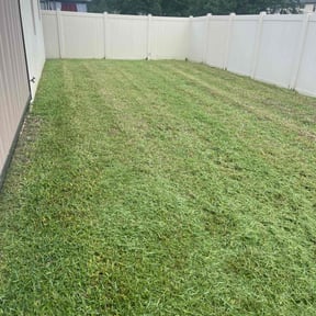 grass maintenance by Mowerman reviewed on July 29, 2023