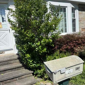 Flower Bed Weeding by Delgado Landscaping reviewed on September 1, 2026