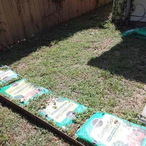Flower Bed Weeding by Gomez Property  Maintenance reviewed on July 6, 2026