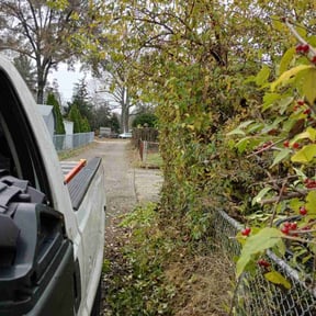 Bush Trimming by Forever Green FG LLC reviewed on November 19, 2025