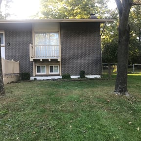 Bush Trimming by B&amp; ccutting reviewed on August 21, 2025