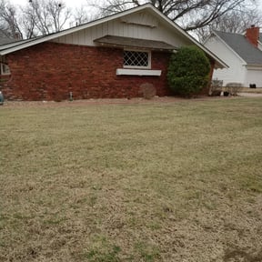 Bush Trimming by Gibson Property LLC reviewed on August 16, 2025